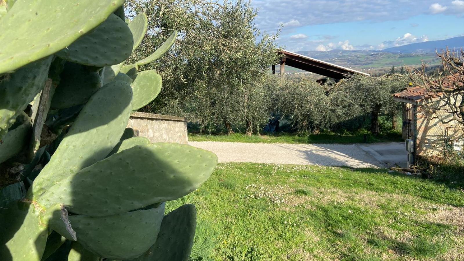 Casa Civico22 Villa Fratta Todina Eksteriør bilde